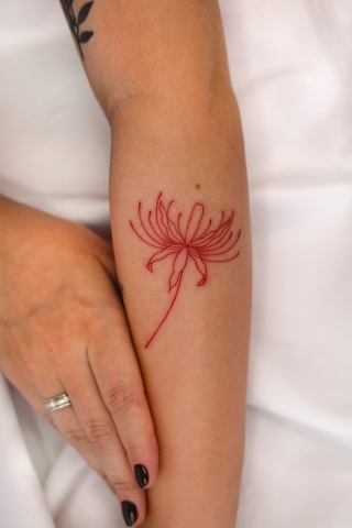 Wintry Mountain Landscape