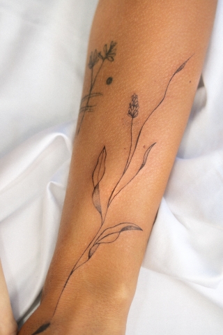 Mountains in the Clouds